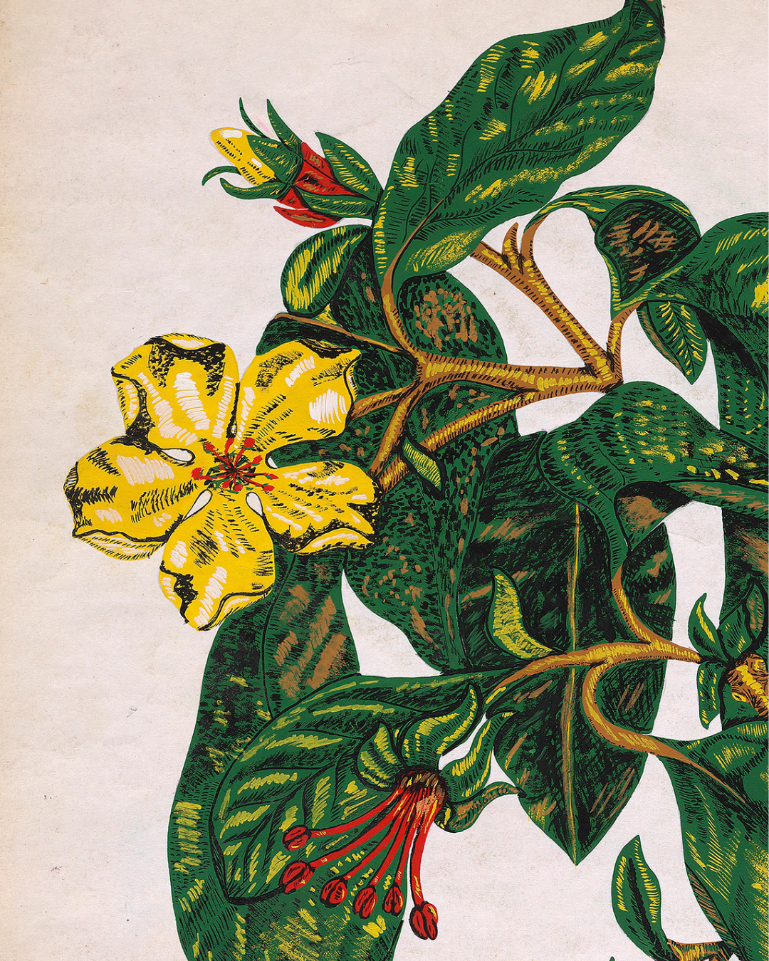 Diseño Textil Original Años 70 - Gouache Botánica "Composición 23"