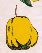 Diseño Textil Original Años 70 - Gouache Botánica "Composición 23"