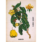 Diseño Textil Original Años 70 - Gouache Botánica "Composición 23"